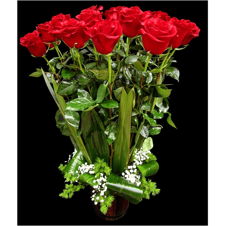 Fardo de 24 rosas rojas  1