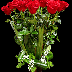 Fardo de 24 rosas rojas 