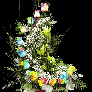 Caracol de rosas rainbow