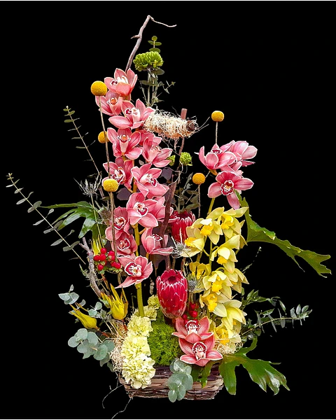 Jardin de orquideas cymbidium 