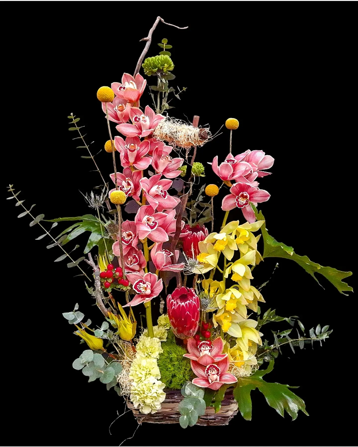 Jardin de orquideas cymbidium  1