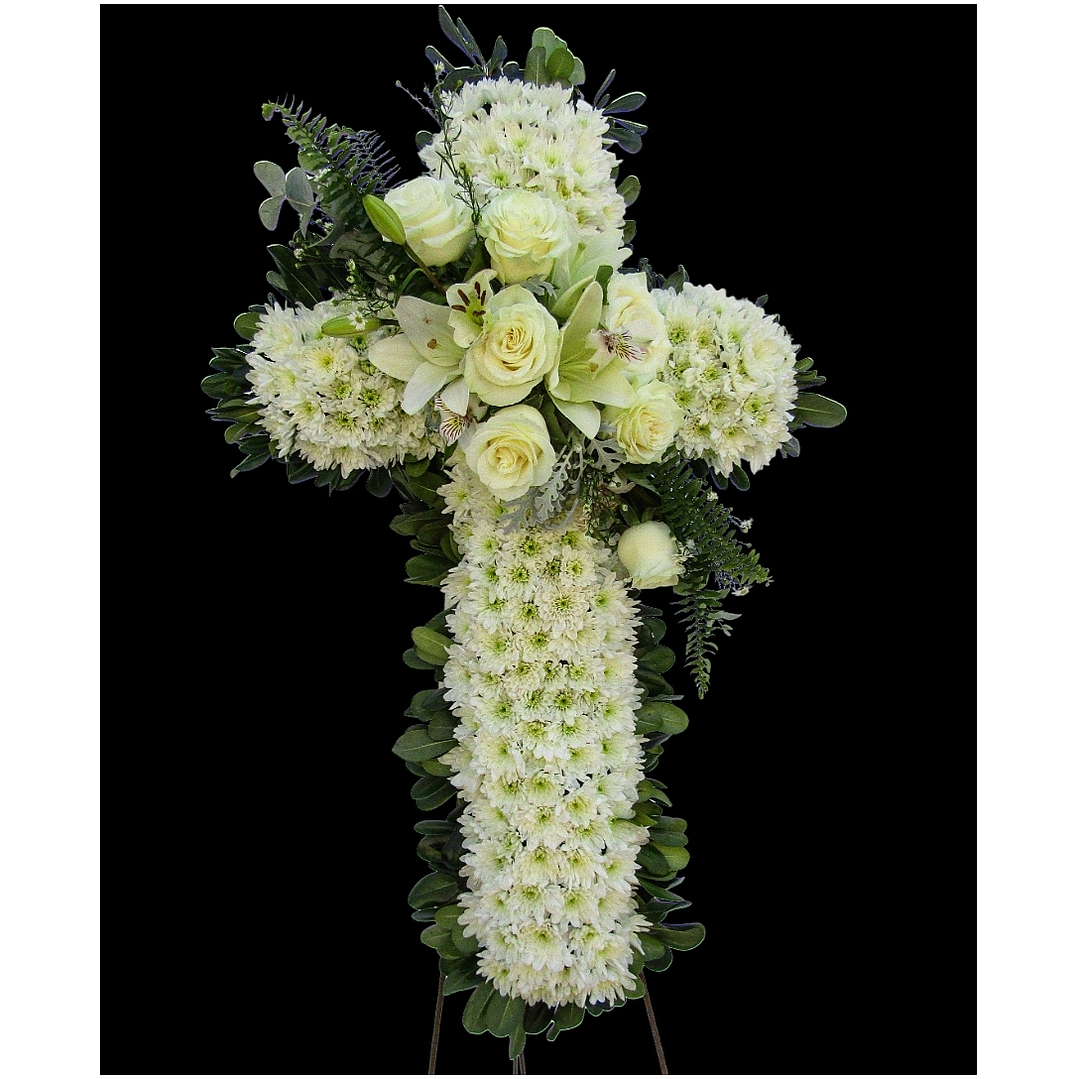 Cruz White Dreams  1