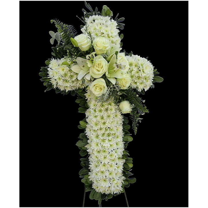 Cruz White Dreams  1