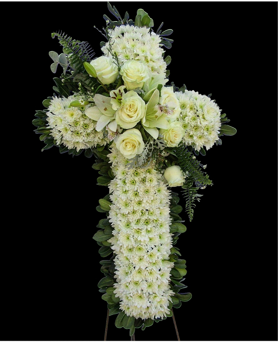 Cruz White Dreams  1