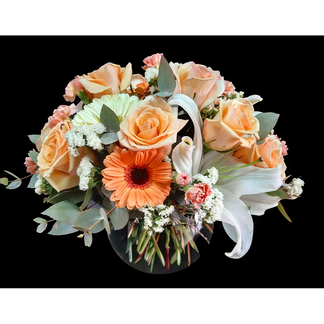 Pecera en tono Pastel 1