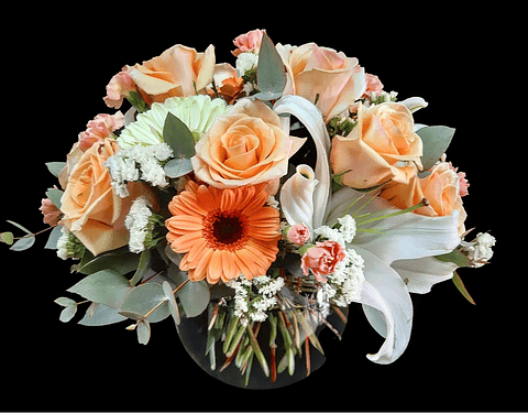 Pecera en tono Pastel