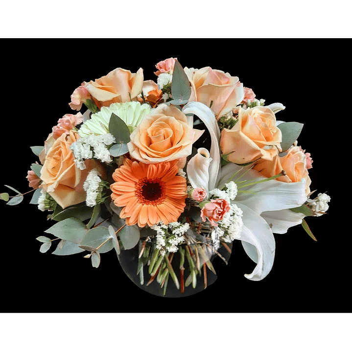 Pecera en tono Pastel 1