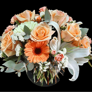 Pecera en tono Pastel