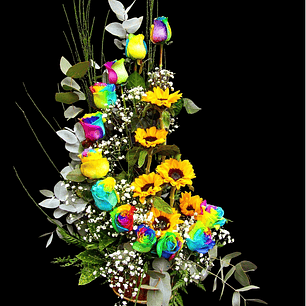 Caracola de rosas arcoiris y girasoles