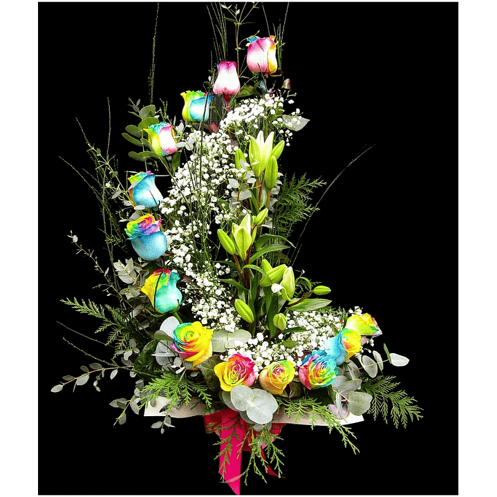 Caracola alegria dreams 1