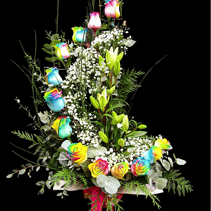 Caracola alegria dreams