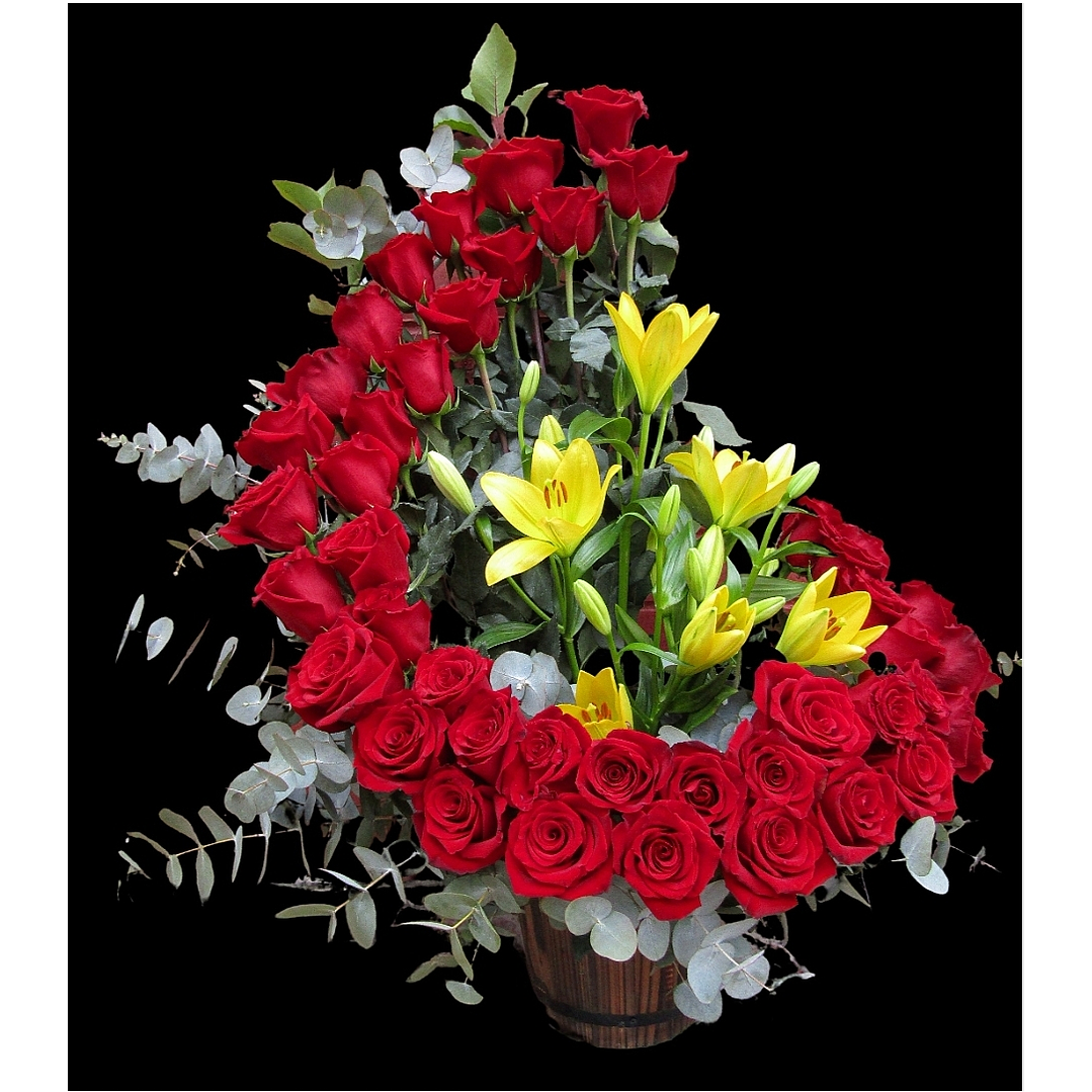 Red Deluxe Caracol 1