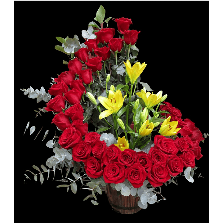 Red Deluxe Caracol 1