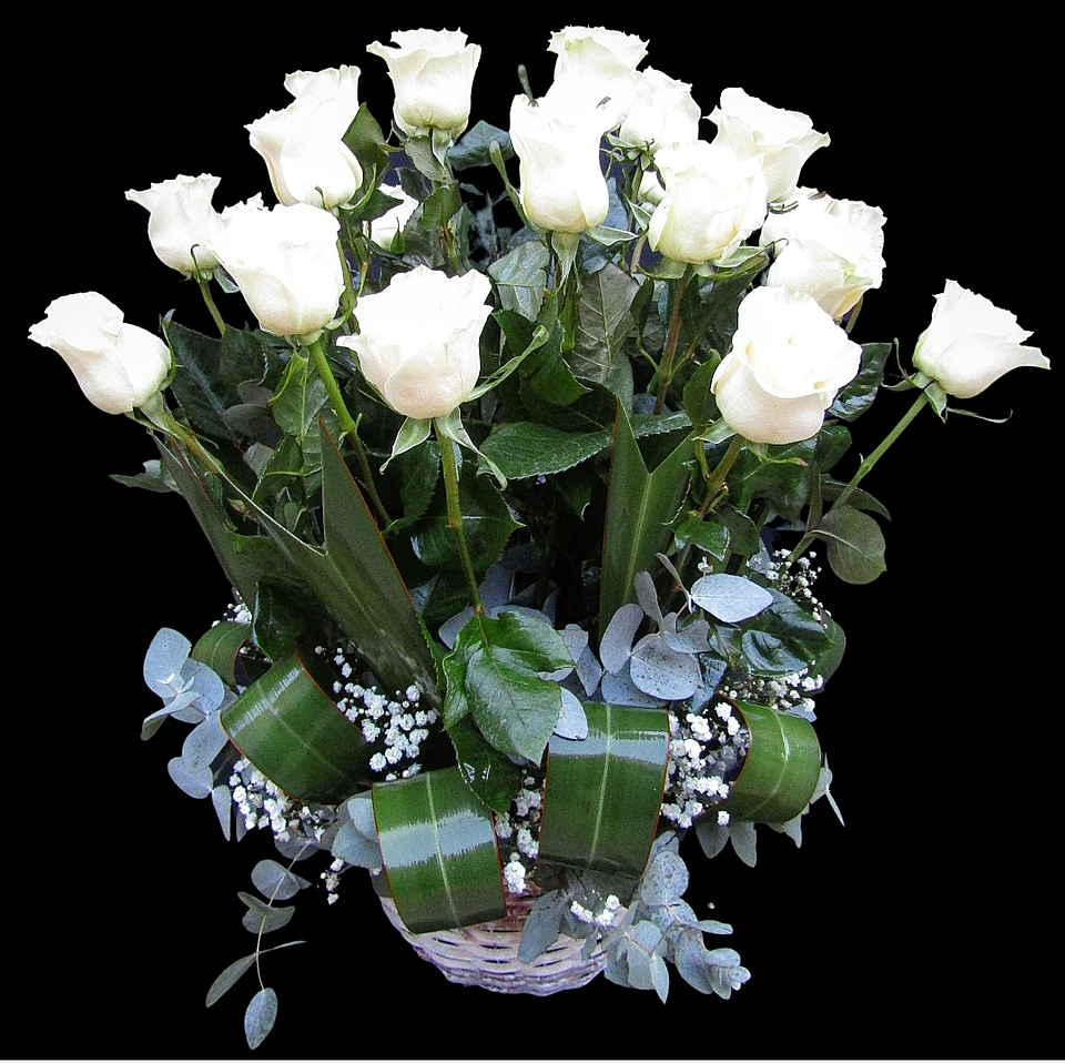 Fardo de rosas blancas 1