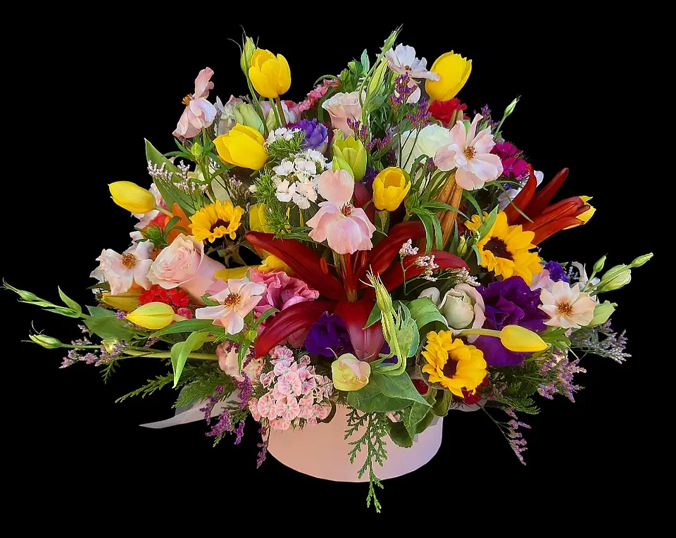 Candice box special 1