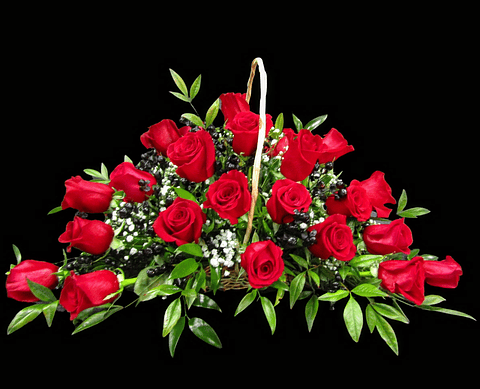 Cesta red experience