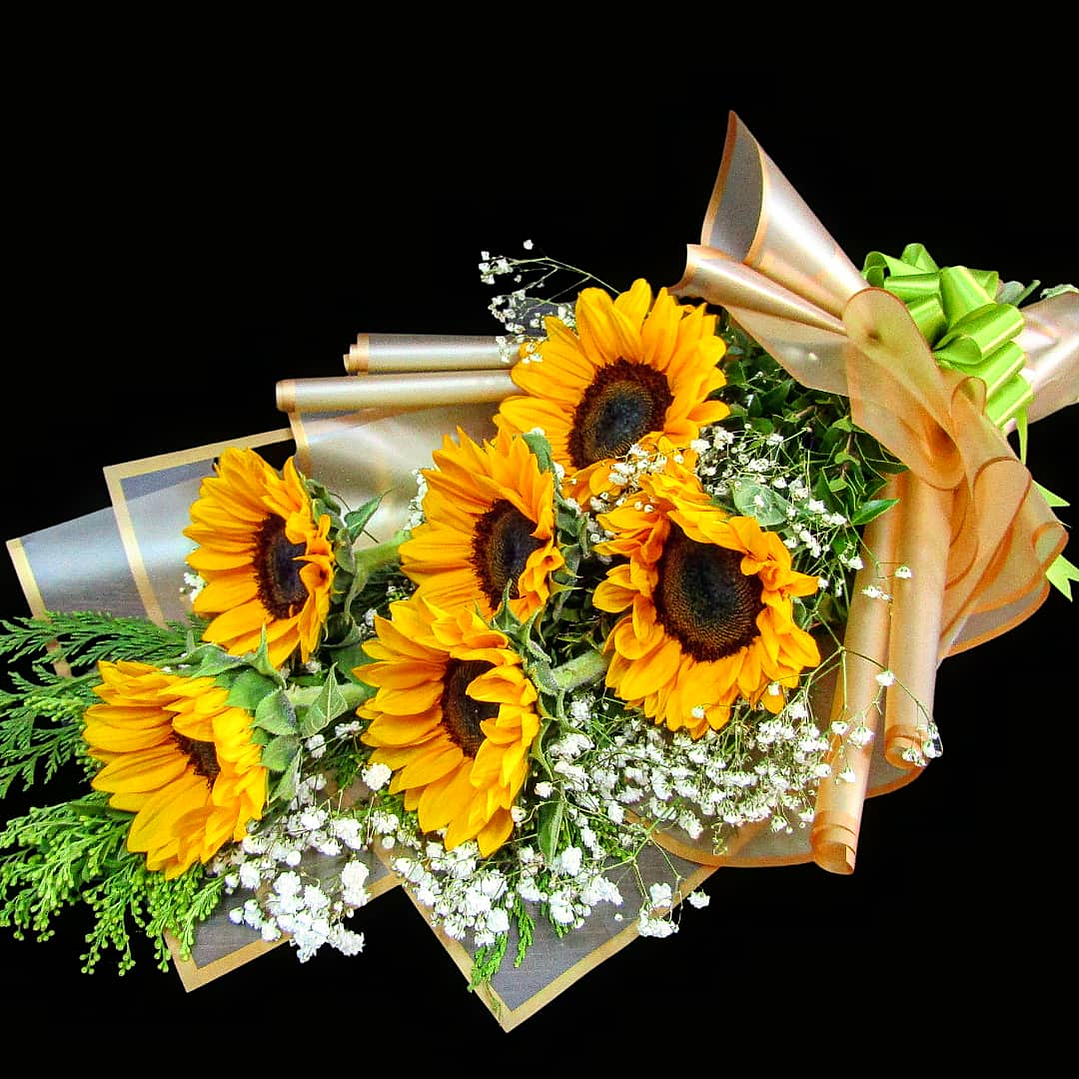 Elisa sunderflowers 1