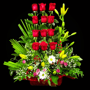 Paralelo de rosas rojas 