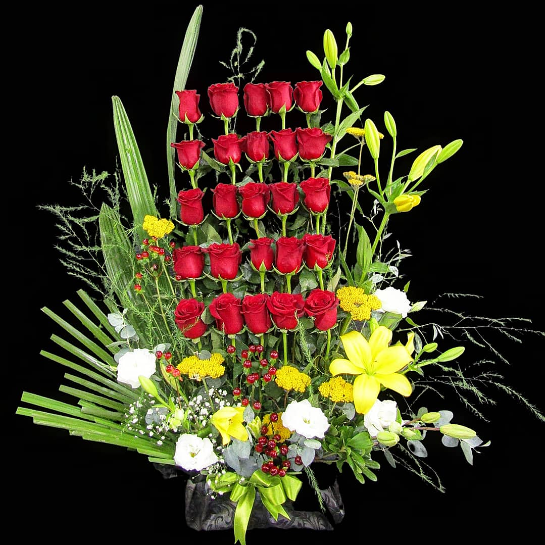 Paralelo de rosas en forma de Coro 1