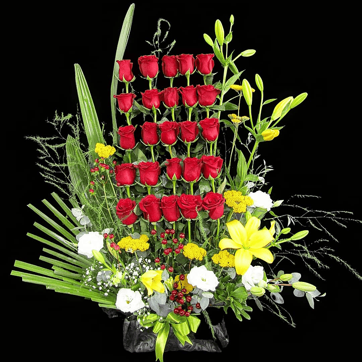 Paralelo de rosas en forma de Coro 1