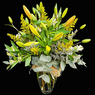 Albania florero de Liliums