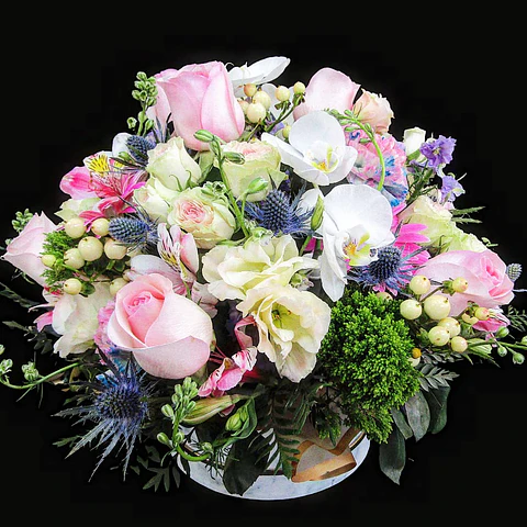 Box Deluxe Candy Candy 