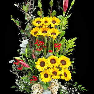 Paralelo de girasoles en maceta de madera