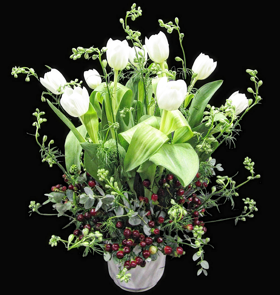 Maceta de Tulipanes Blancos  1