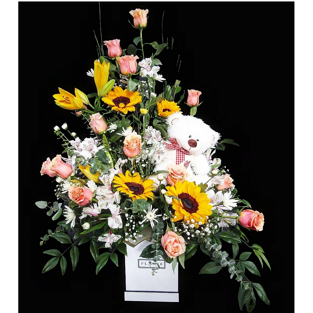 Box de Nacimiento con peluche  1