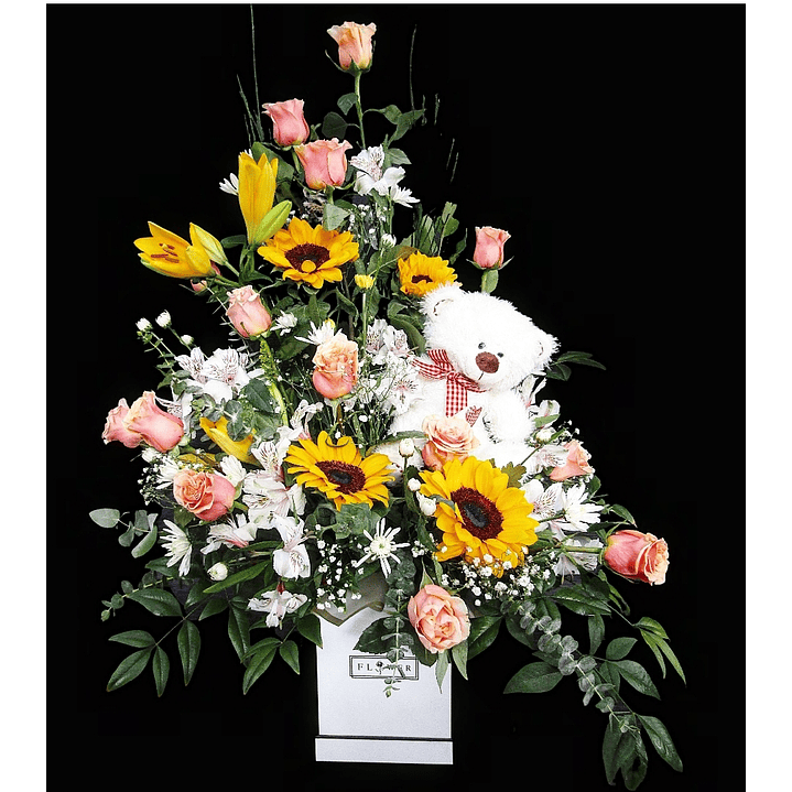 Box de Nacimiento con peluche  1