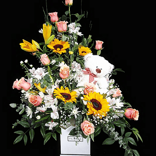 Box de Nacimiento con peluche 