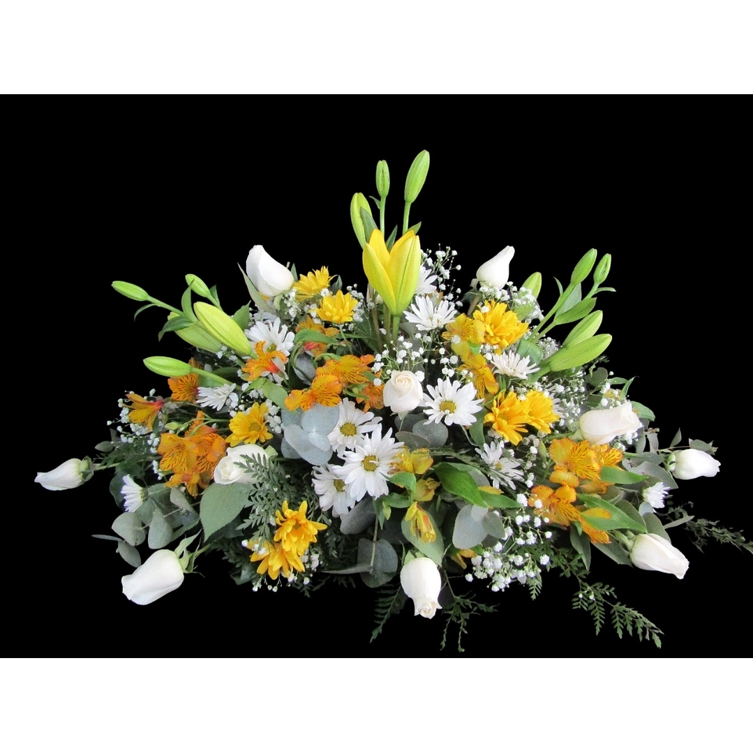 Cojín mixto Papal 1