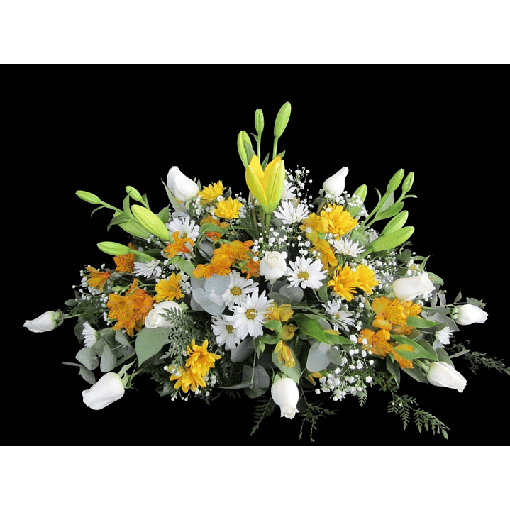 Cojín mixto Papal 1