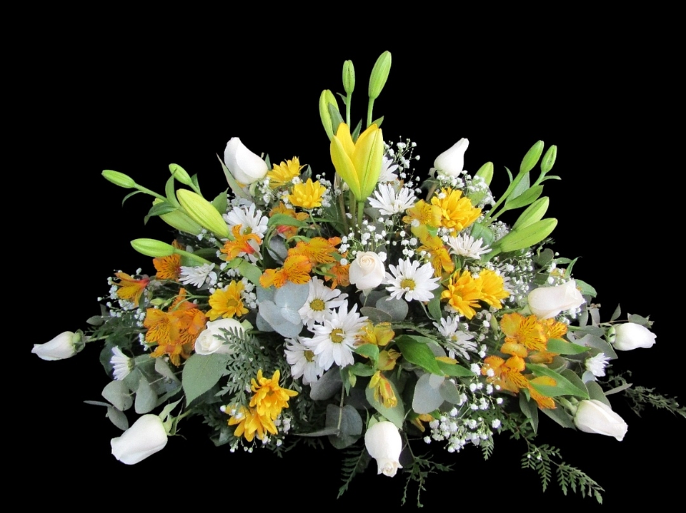 Cojín mixto Papal 1