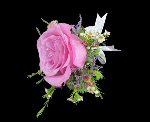 Boutonniere de rosa lila 