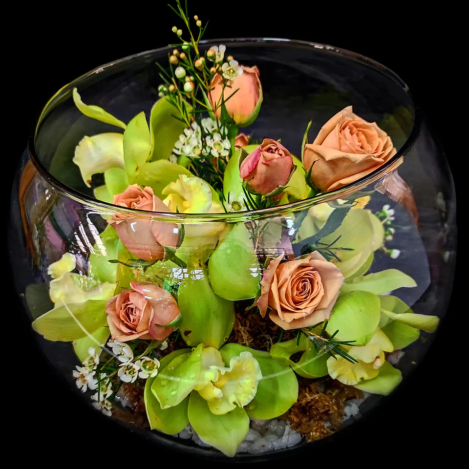 Pecera de orquídeas cymbidium 1