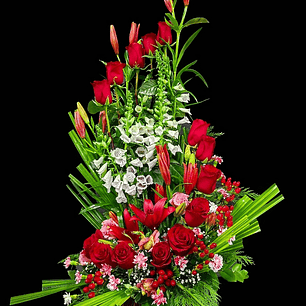 Espiral Deluxe Red Obsesión