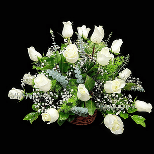 Cesta de 24 rosas blancas 