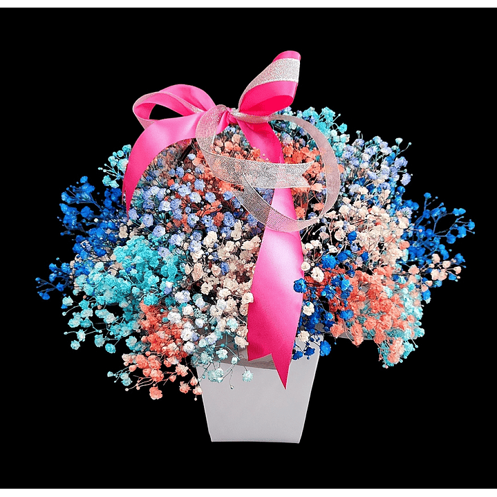 Bolsa de gipsofilas  1