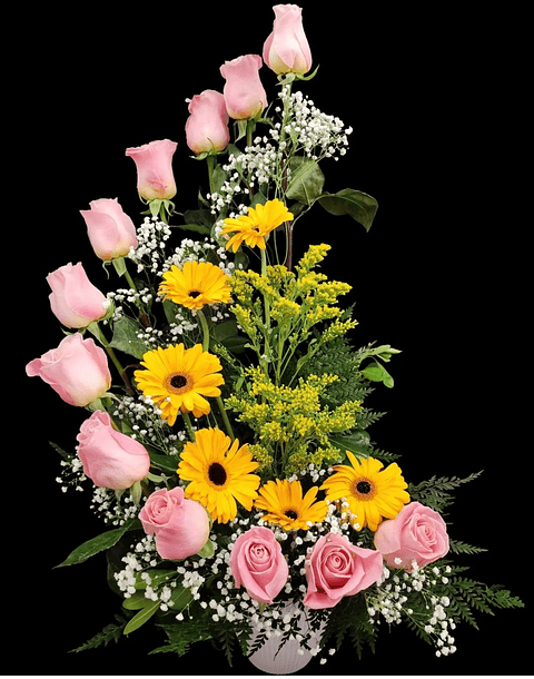 Caracola rosa con gerberas 