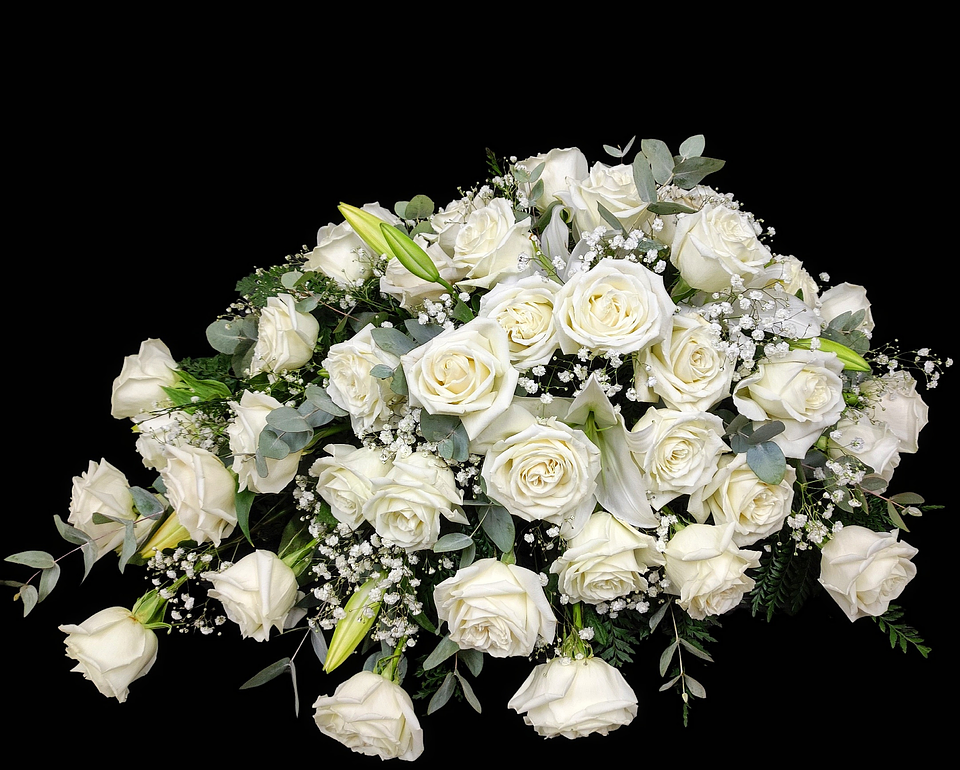 Cubre urna en forma de gota de 75 rosas blancas  1