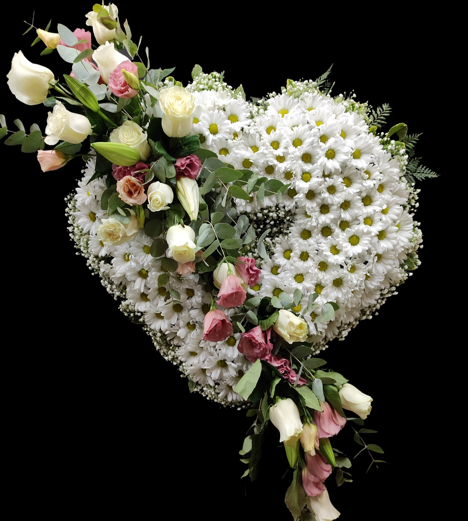 Corazón de Margaritas blancas  1