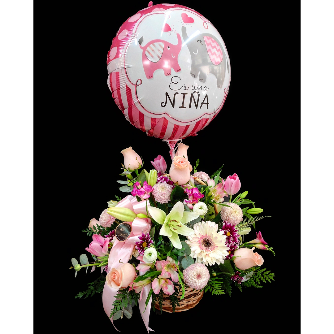 Es una Niña... cesta de nacimiento 1