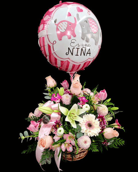 Es una Niña... cesta de nacimiento