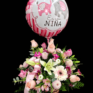 Es una Niña... cesta de nacimiento