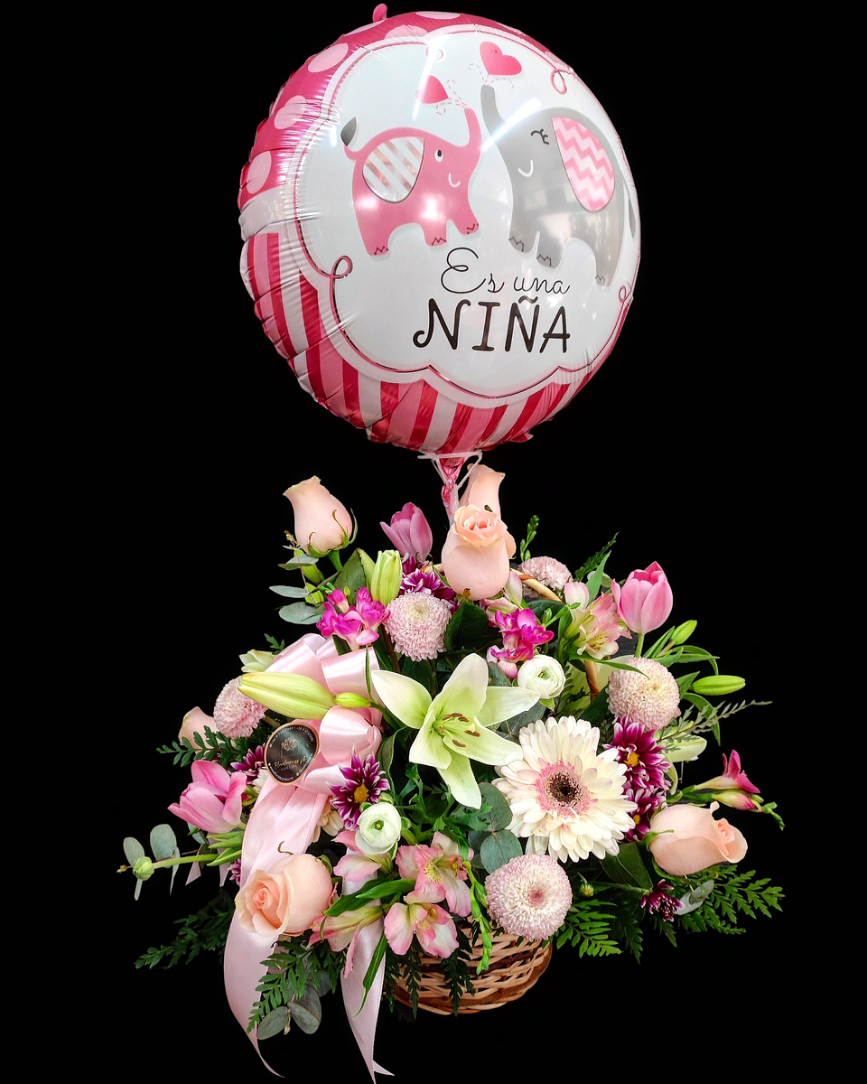 Es una Niña... cesta de nacimiento 1