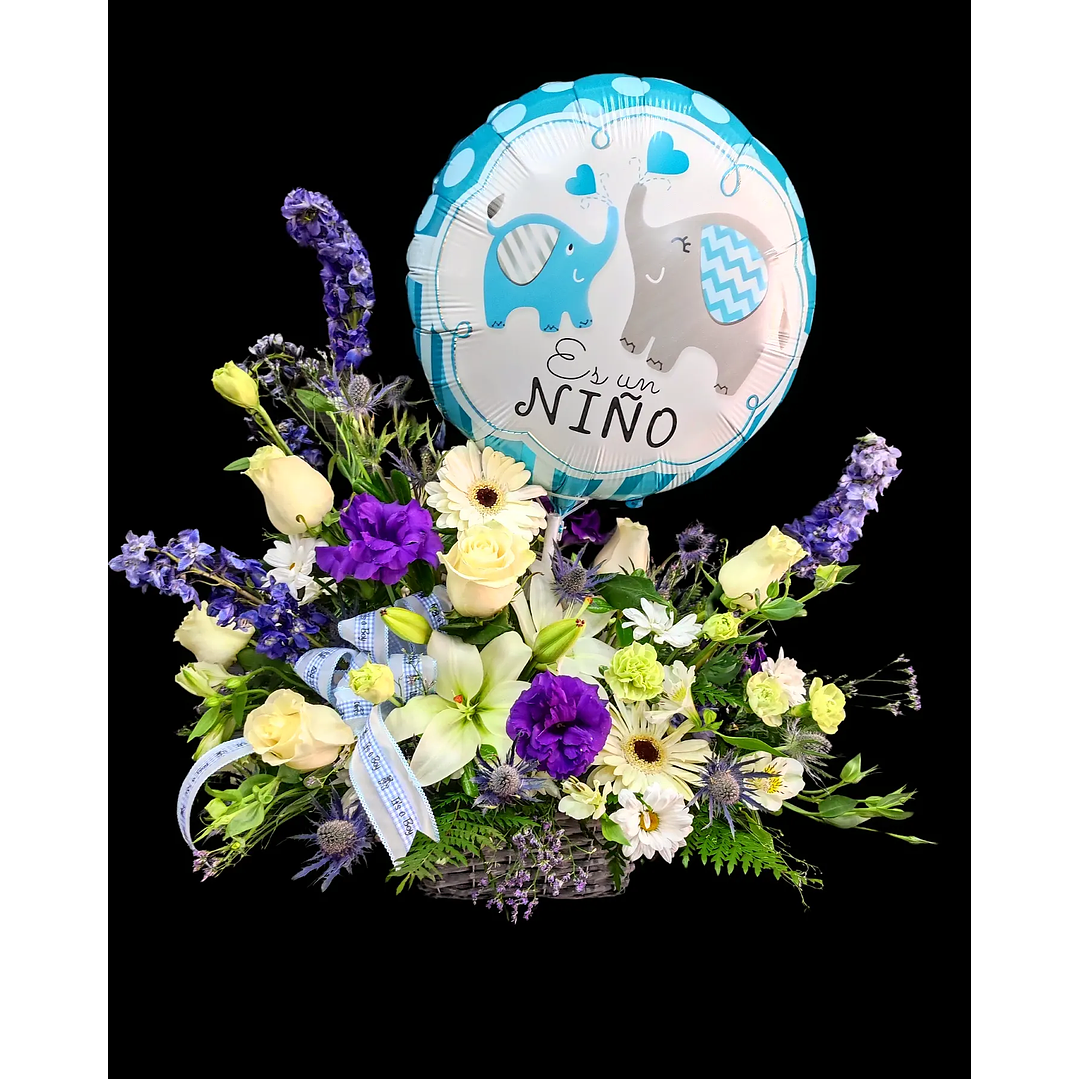 Cesta de nacimiento blue dream 1