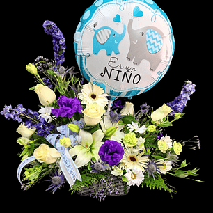 Cesta de nacimiento blue dream