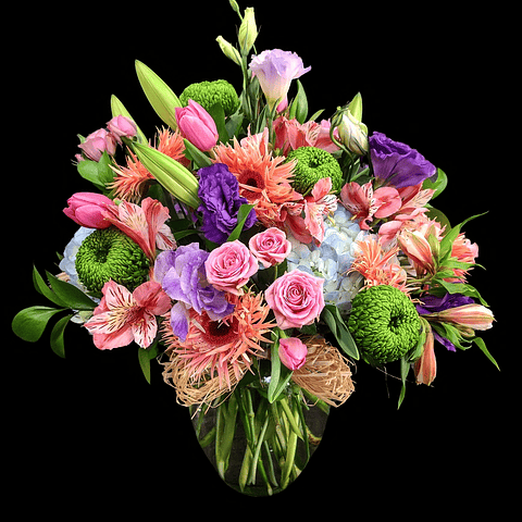 Nueva Zelanda glasse