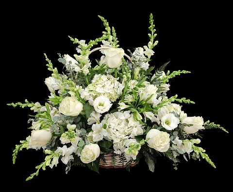 Gran cesta mixta blanca de dragonarias y rosas